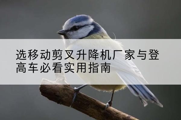 嘉定区电动升降机厂家-选移动剪叉升降机厂家与登高车必看实用指南