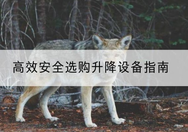 嘉定区升降货梯厂家推荐-*安全选购升降设备指南